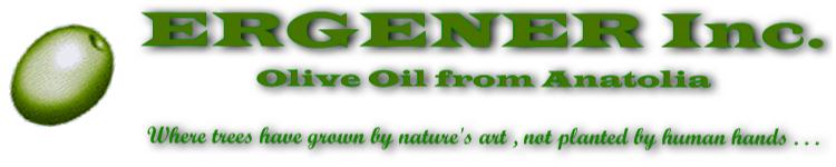 ERGENER Inc. Logo